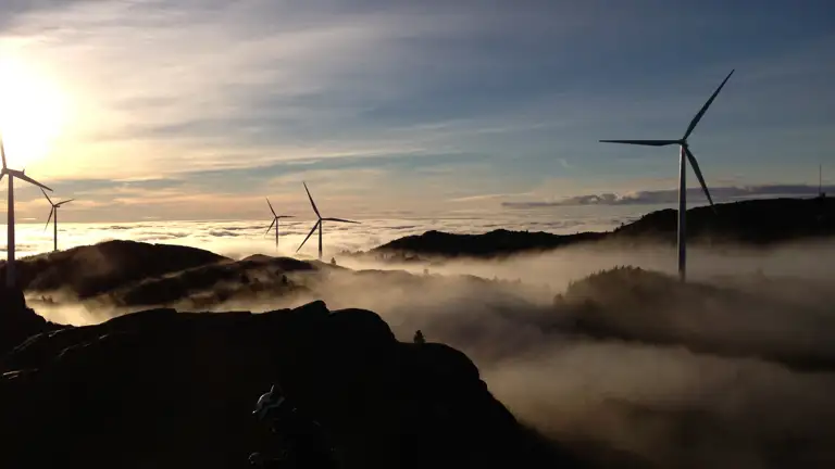 image for Det grønne skiftet trenger kraft og realistisk naturpolitikk